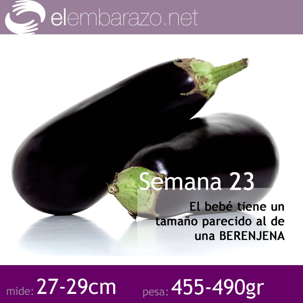 Bebé 23 semanas embarazo