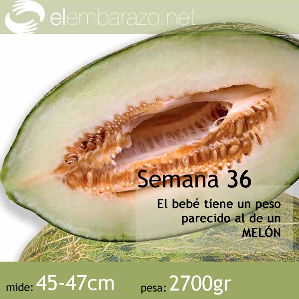 bebe-36-semanas-embarazo