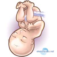 embarazo-35-semanas