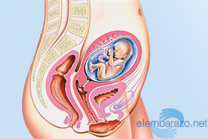 18 semanas de embarazo: cambios en tu cuerpo