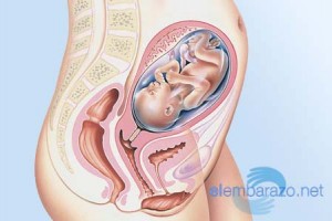 27 semanas de embarazo: cambios en tu cuerpo