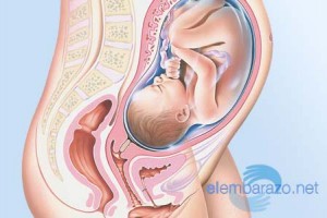 35 semanas de embarazo: cambios en tu cuerpo