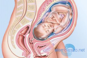 39 semanas de embarazo: cambios en tu cuerpo