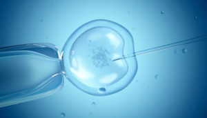 La primera ecografía tras un tratamiento de fertilidad